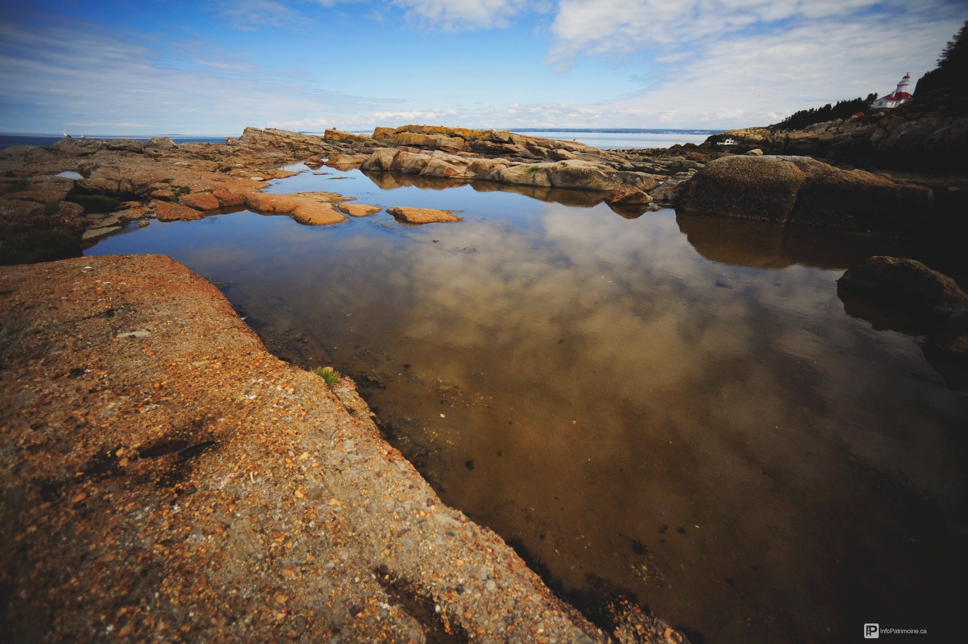 littoral, île du pot à l’eau-de-vie, rivière-du-loup (Auteur : Ville RDL)